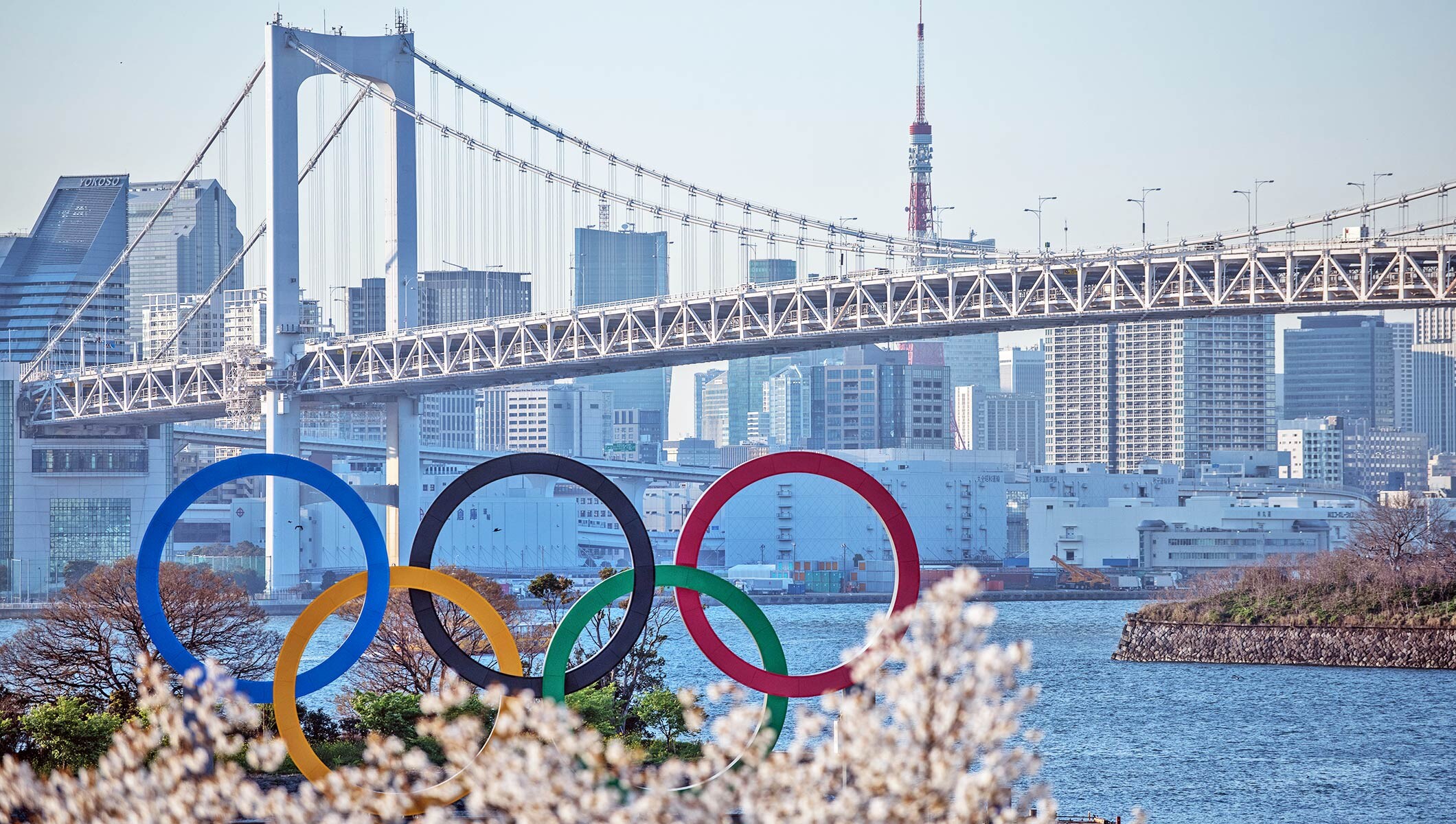 IOC Executive Board makes accreditation decision for Tokyo 2020 – cancels  Guest Programme - Olympic News